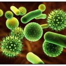 독일프리미엄보청기 이미지