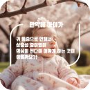 연세센트럴이비인후과의원 이미지