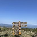 팔공산 하늘정원 | 팔공산 하늘정원 방문기, 0.5km 산책 후기