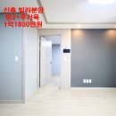 서호동-16 네이버블로그