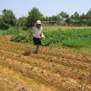 한마음농장 2 이미지