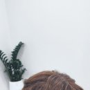 일산 항암가발 맞출 수 있는 여우가발모심위그 일산점