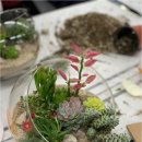 꽃과 식물로 정원가꾸기 이미지