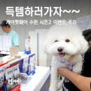 페따미꼬 | 2025 케이펫페어 수원 시즌2, 주차꿀팁 이벤트 브랜드 총정리!