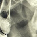 연세미소미함치과의원 이미지