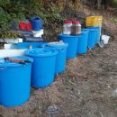 오미자 화장실 이미지