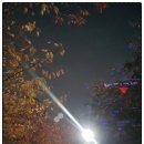 나짱더복
