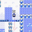 옐로우씨 이미지