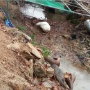 길목농장 이미지