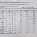 뉴반도