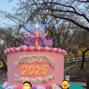 벚꽃치과의원 이미지