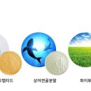 오피티 이미지