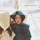 딤플 Daum카페