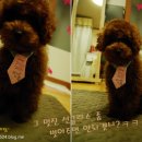 띵동 이미지