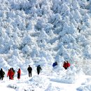 한라산풍경 이미지