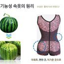 제니패션기능성보정속옷 네이버블로그