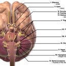 탑 동물병원 이미지