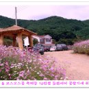 꽃천지 휴게소