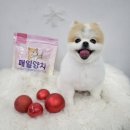 오늘도 귀엽개 이미지