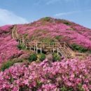 소백산 이미지