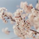 봄PT Studio 이미지