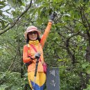 대전둘레산길(6구간) 이미지