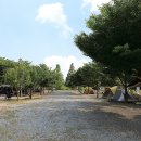 자연애캠핑장 이미지