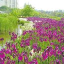 한경대학교부속농장 이미지