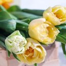 숭의어린이집 이미지