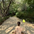 안산초입 화장실 이미지