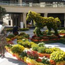 월드스퀘어 이미지