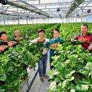 청도농업협동조합 이미지