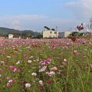 백곡면행정복지센터 이미지