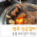 신군갈비 | 청주 애견동반 식당, 신군갈비 금천동 갈비 맛집! 내돈내산 후기