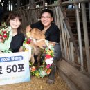 백우농장 이미지