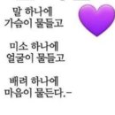 2월에는 이미지