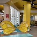 CU남지유채점 | 경기도 아이와 가볼 만한 곳, 안성팜랜드, 동물, 유채꽃