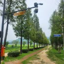 치유, 명상의 숲 이미지