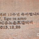 Y갤러리 이미지