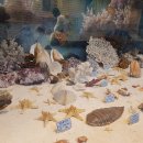 덕소자연사박물관 이미지