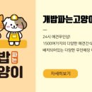 내동애견 이미지