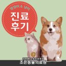 조은동물의료원 이미지