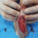 튼튼동물의료센터 이미지