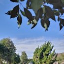 스테이애옥 이미지