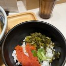 삿포로우동집 | 삿포로 오차즈케 우동집 다시 차즈케 니쿠돈 내돈내산 솔직 후기