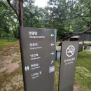 귀빈예식장~삼백조경 | [문화 해설사와 함께 하는 창덕궁 후원 예매 주차 및 관람 동선]격조 높은 산책로를 따라 거닐어 본...