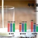 저지방우유 효능 우유 한잔 칼로리 어떨까요 이미지