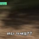 자연인 Daum카페