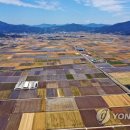 들녘 옷 이미지