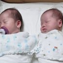 쌍둥이